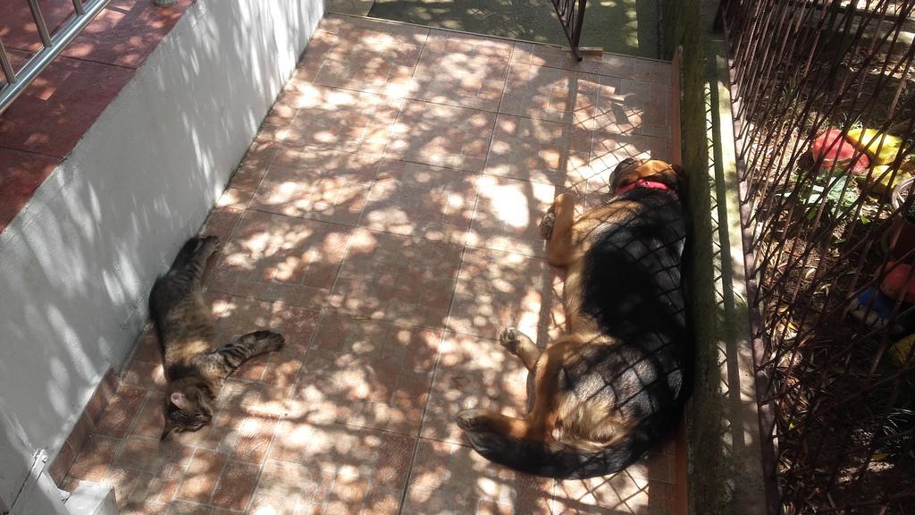 Gostinjska kuća Bak