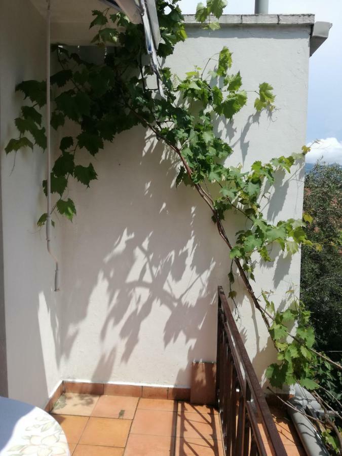 Gostinjska kuća Bak 3*